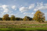 Парк "Александрия", image of landscape/habitat.