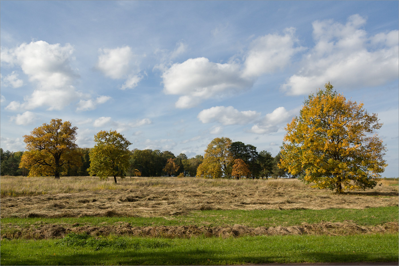 Парк "Александрия", image of landscape/habitat.