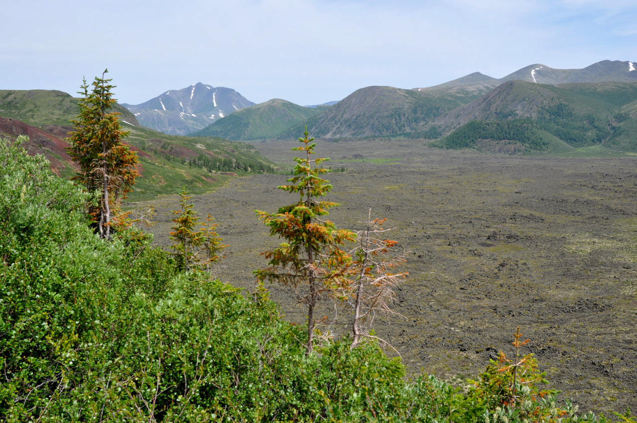 Падь Хи-Гол (Долина вулканов), image of landscape/habitat.