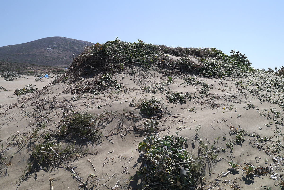 Родос, image of landscape/habitat.