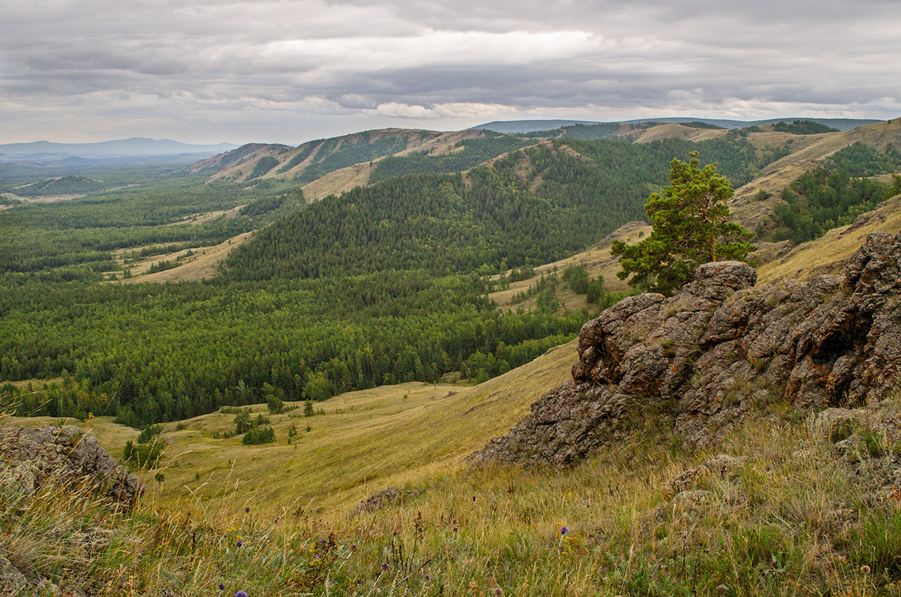 Окрестности деревни Мулдашево, image of landscape/habitat.