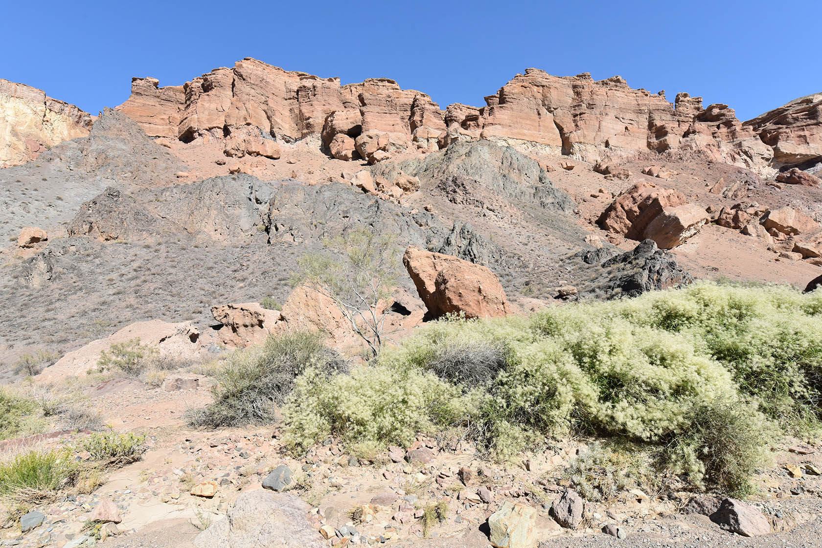 Чарын, image of landscape/habitat.