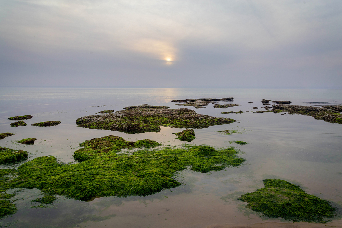 Бат-Ям и окрестности, image of landscape/habitat.