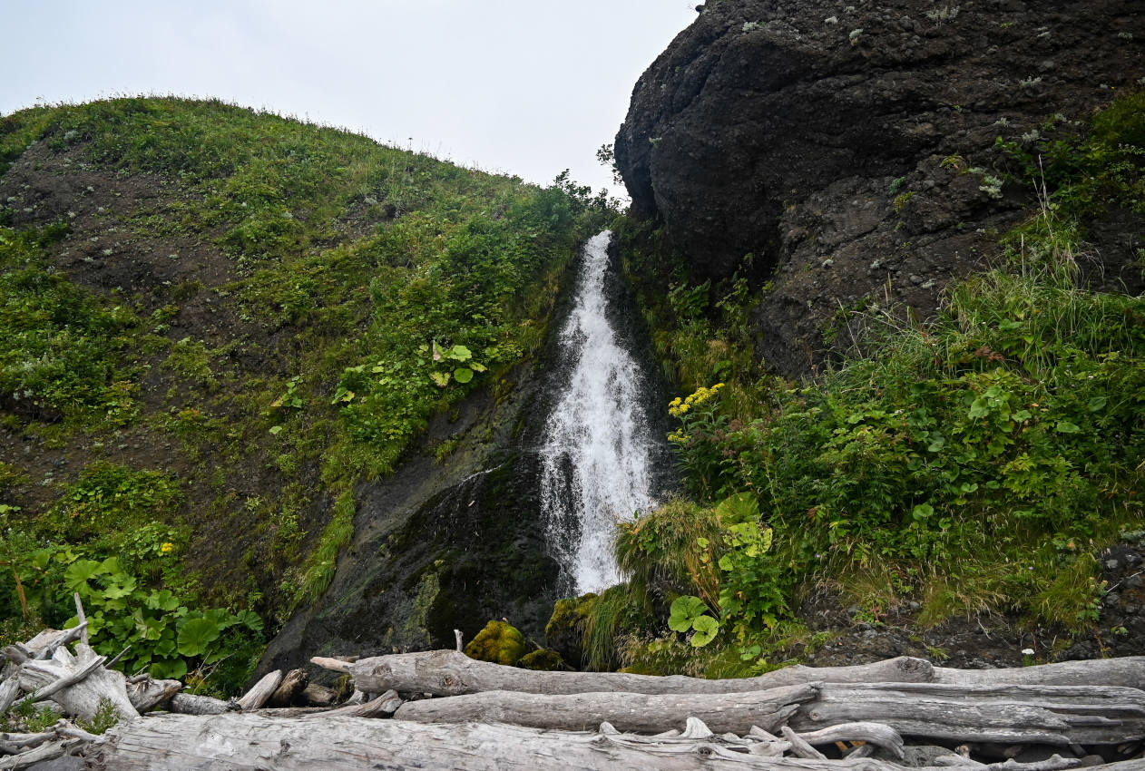 Водопадная, image of landscape/habitat.