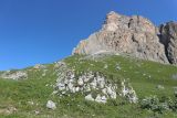 Image of landscape