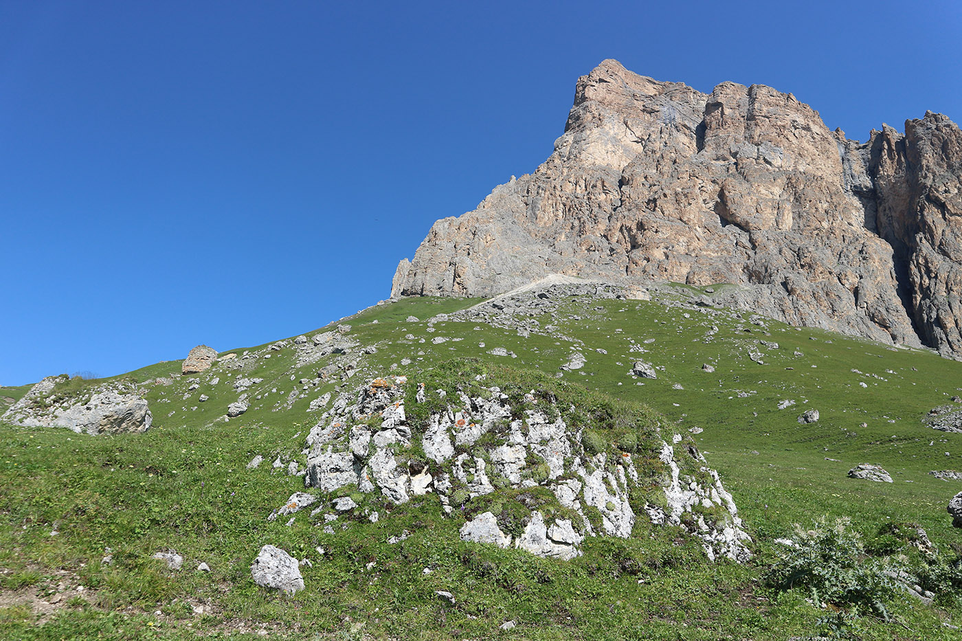 Хазнибаши, image of landscape/habitat.