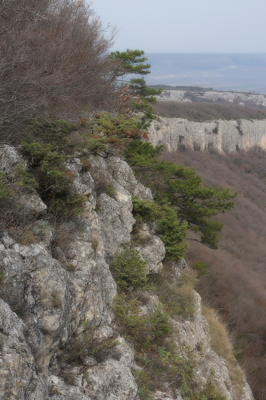 Окрестности монастыря Шулдан, image of landscape/habitat.