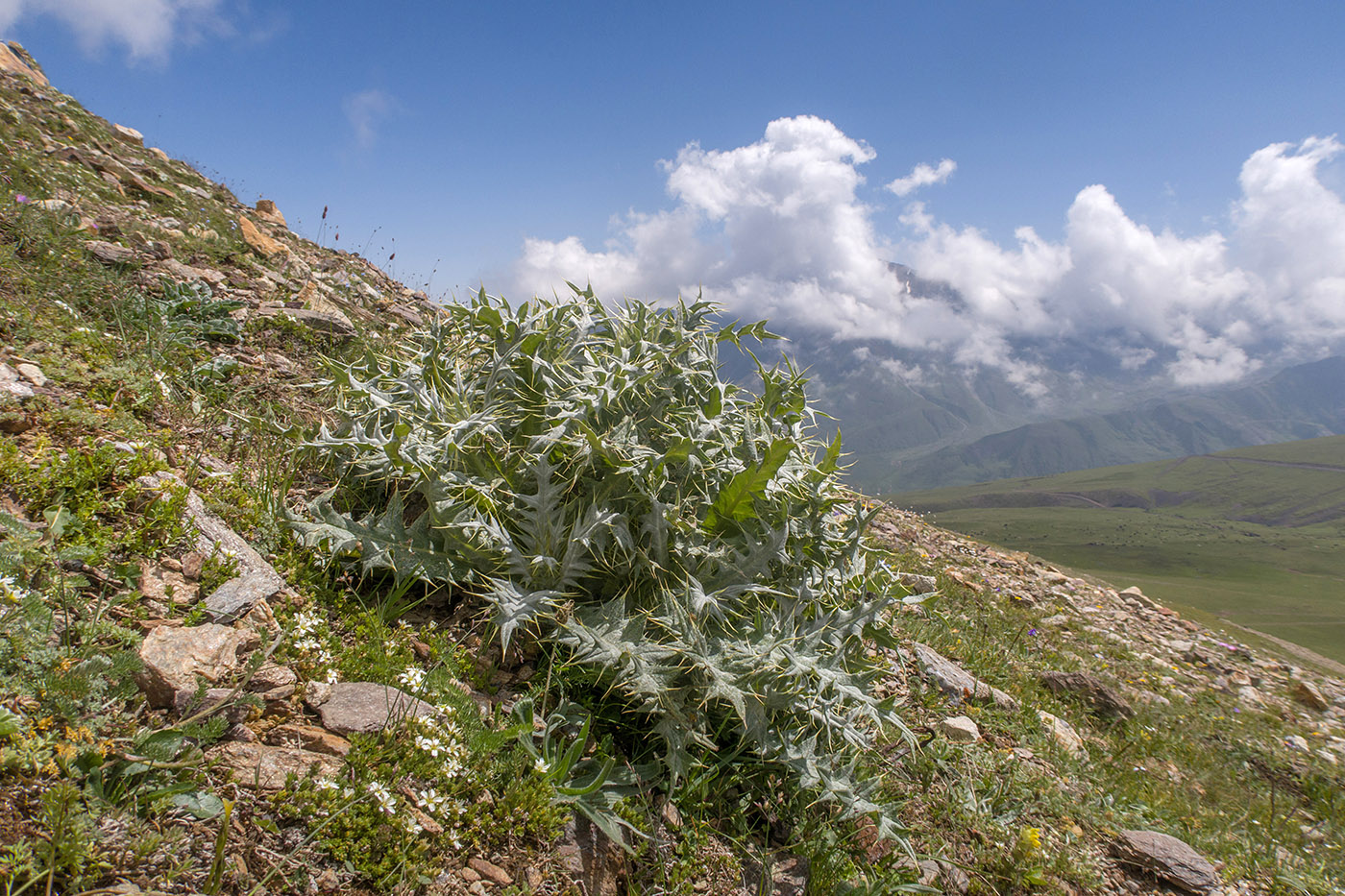 Перевал Школьный (Чегетджара), image of landscape/habitat.