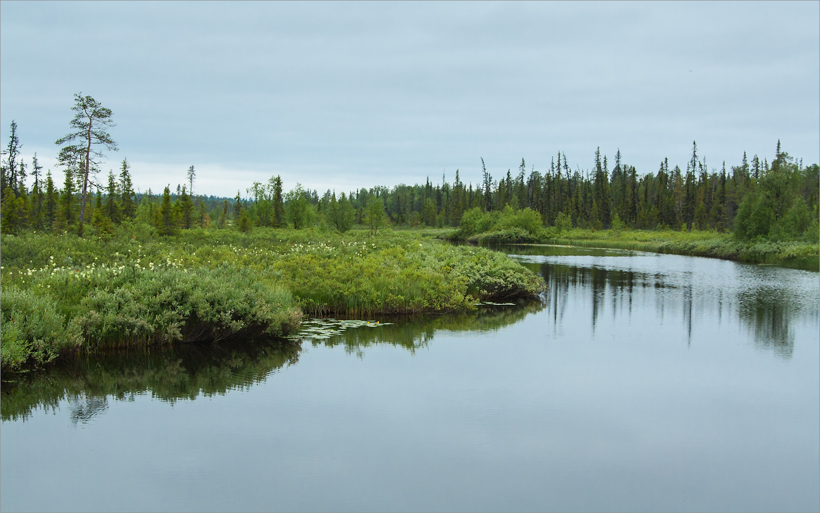 Коалланйоки, image of landscape/habitat.