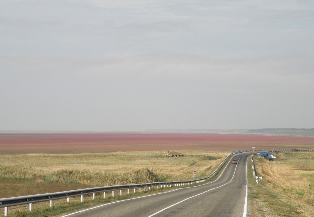 Ханское озеро, image of landscape/habitat.