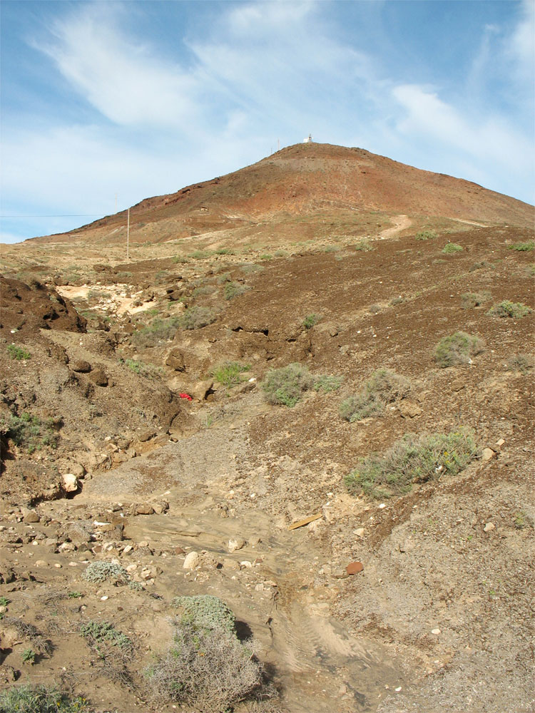 Аринага, image of landscape/habitat.