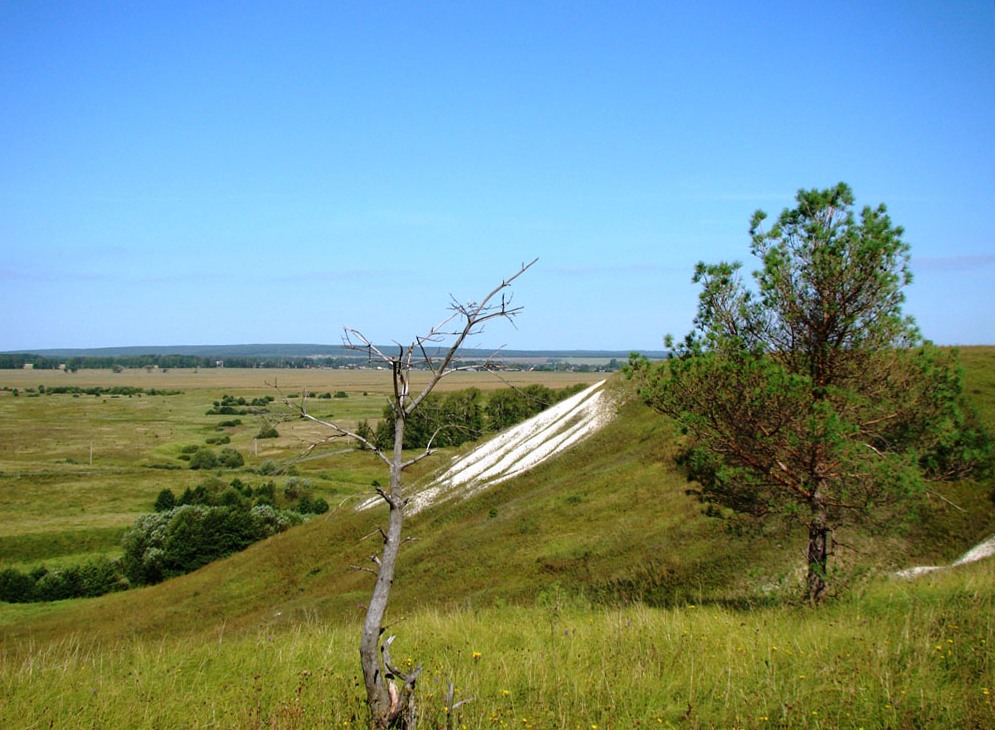 Вейсэ, image of landscape/habitat.