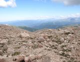 Image of landscape