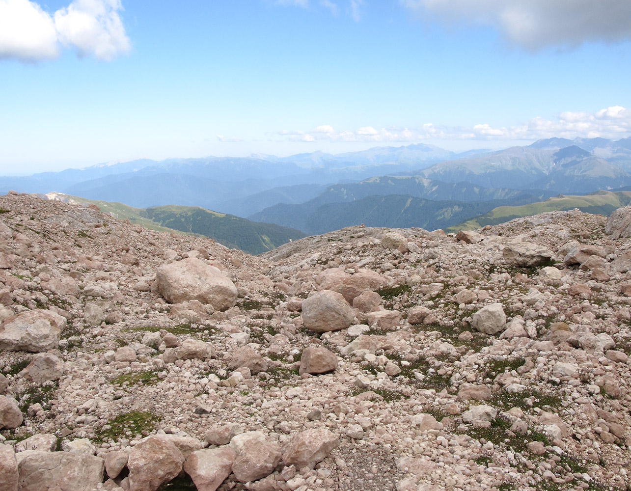 Фишт, image of landscape/habitat.