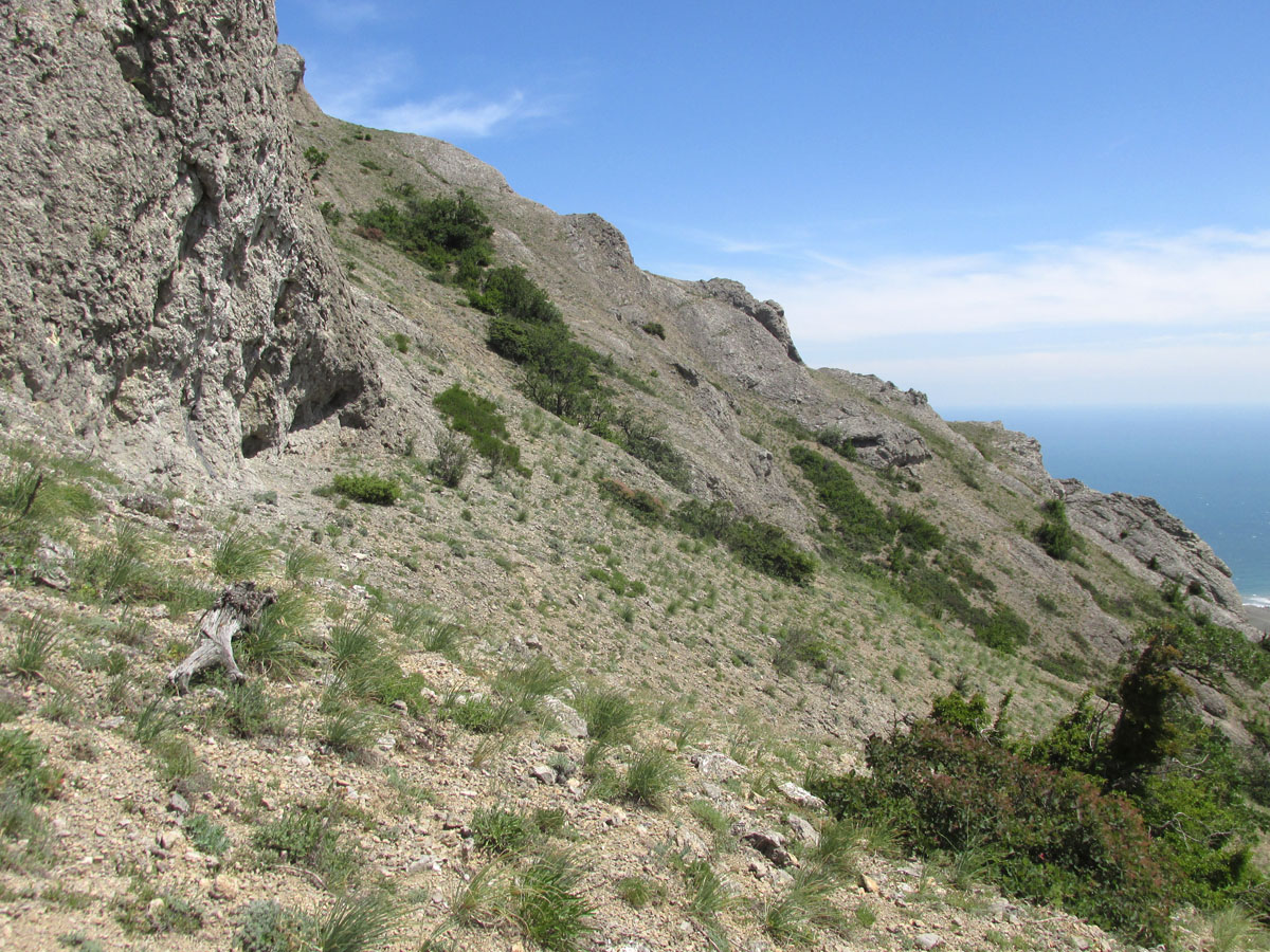 Эчкидаг, image of landscape/habitat.