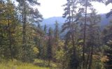 Image of landscape
