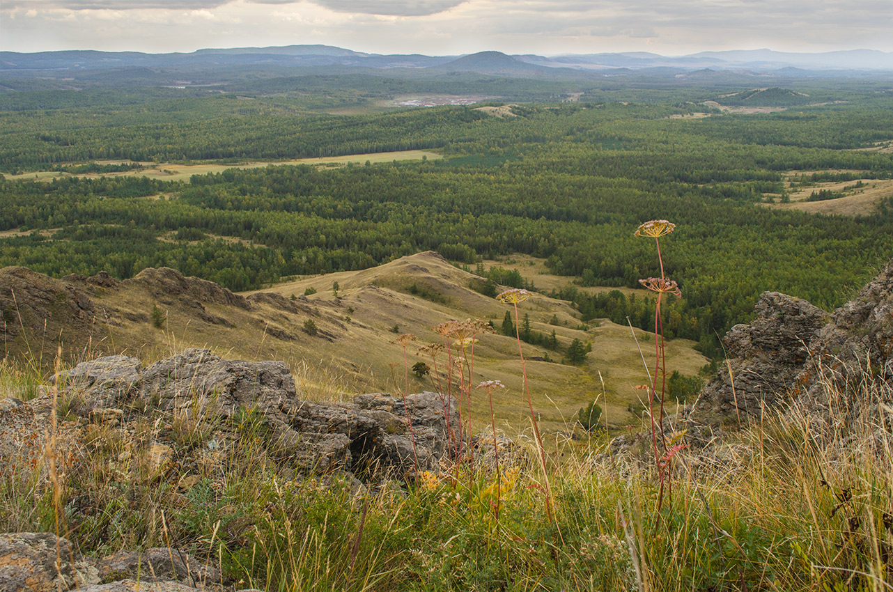 Окрестности деревни Мулдашево, image of landscape/habitat.