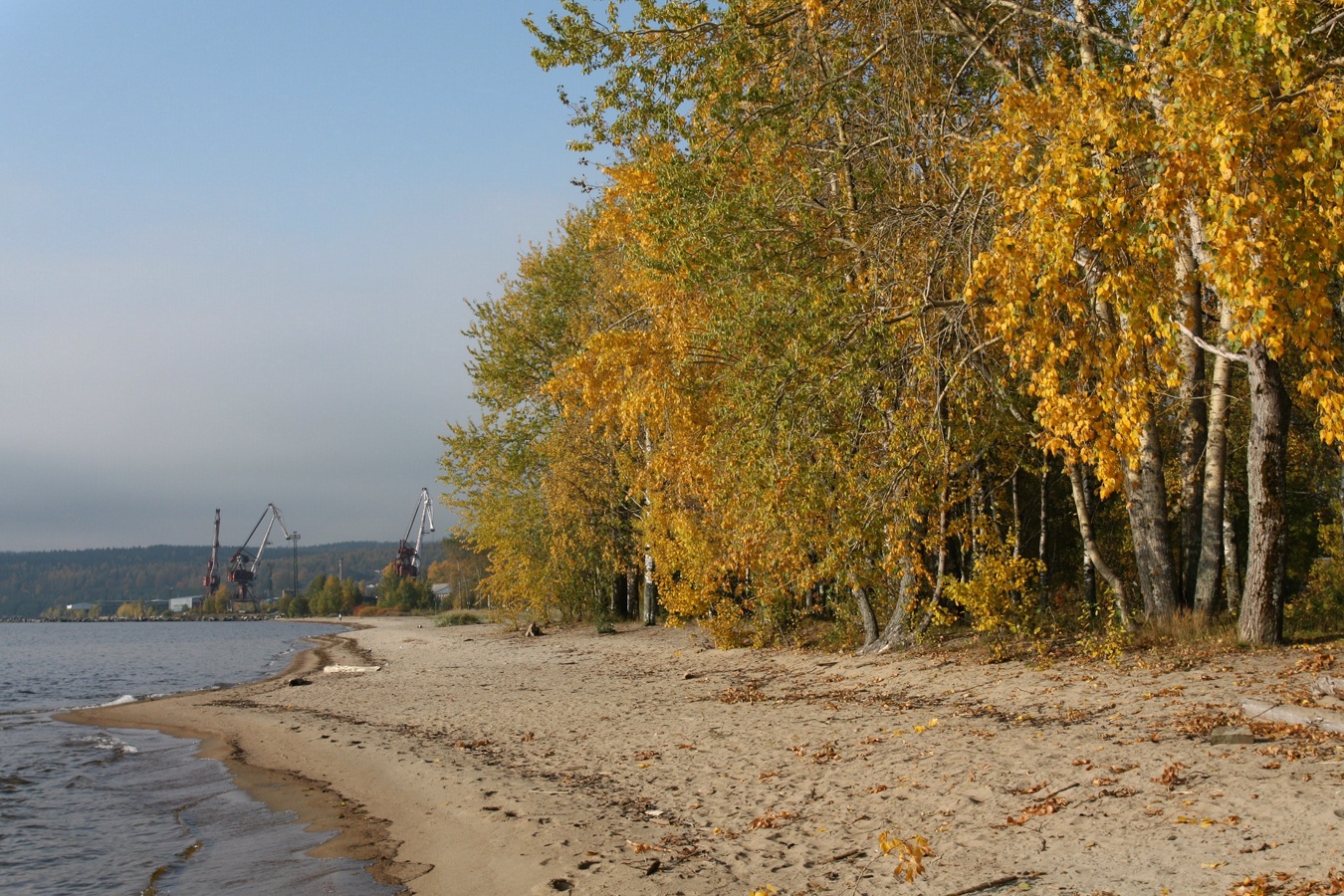 Медвежьегорск и окрестности, image of landscape/habitat.