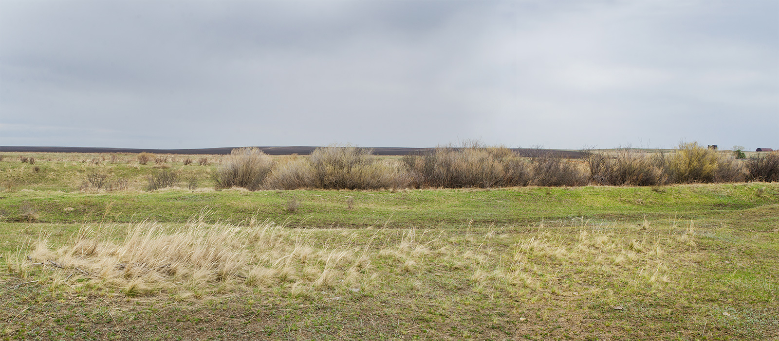 Окрестности Подгорного, image of landscape/habitat.
