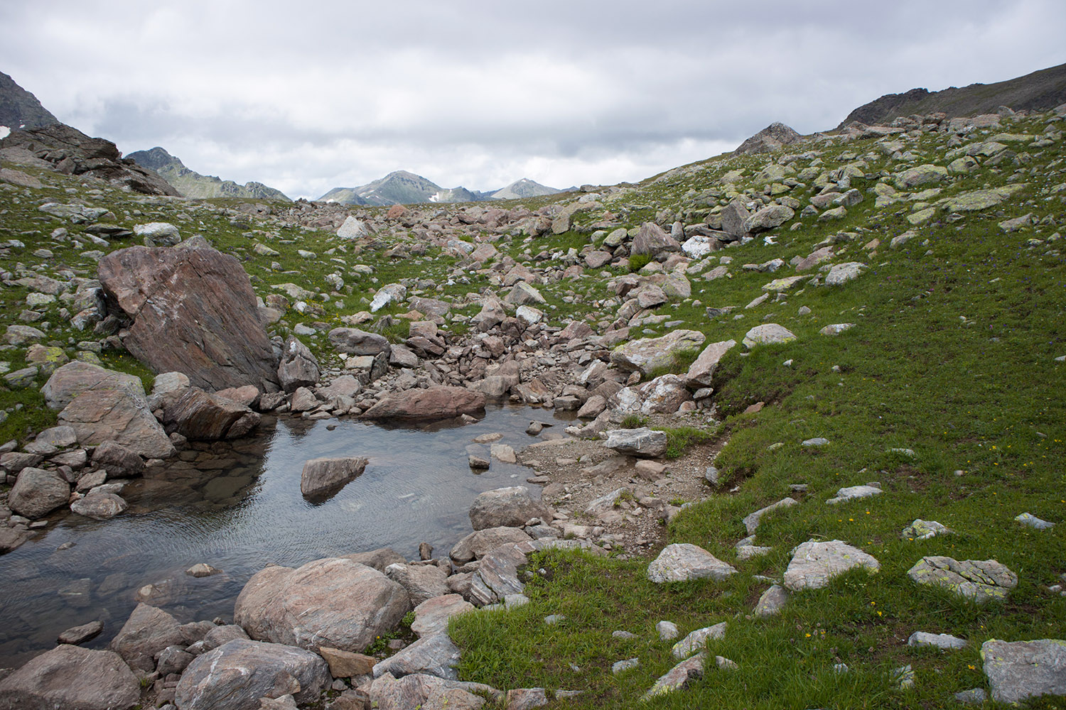 Озеро Буша, image of landscape/habitat.