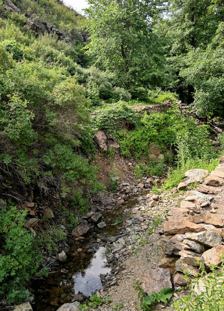 Губерлинские горы, image of landscape/habitat.