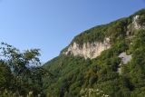 Село Шаро-Аргун и окрестности, image of landscape/habitat.