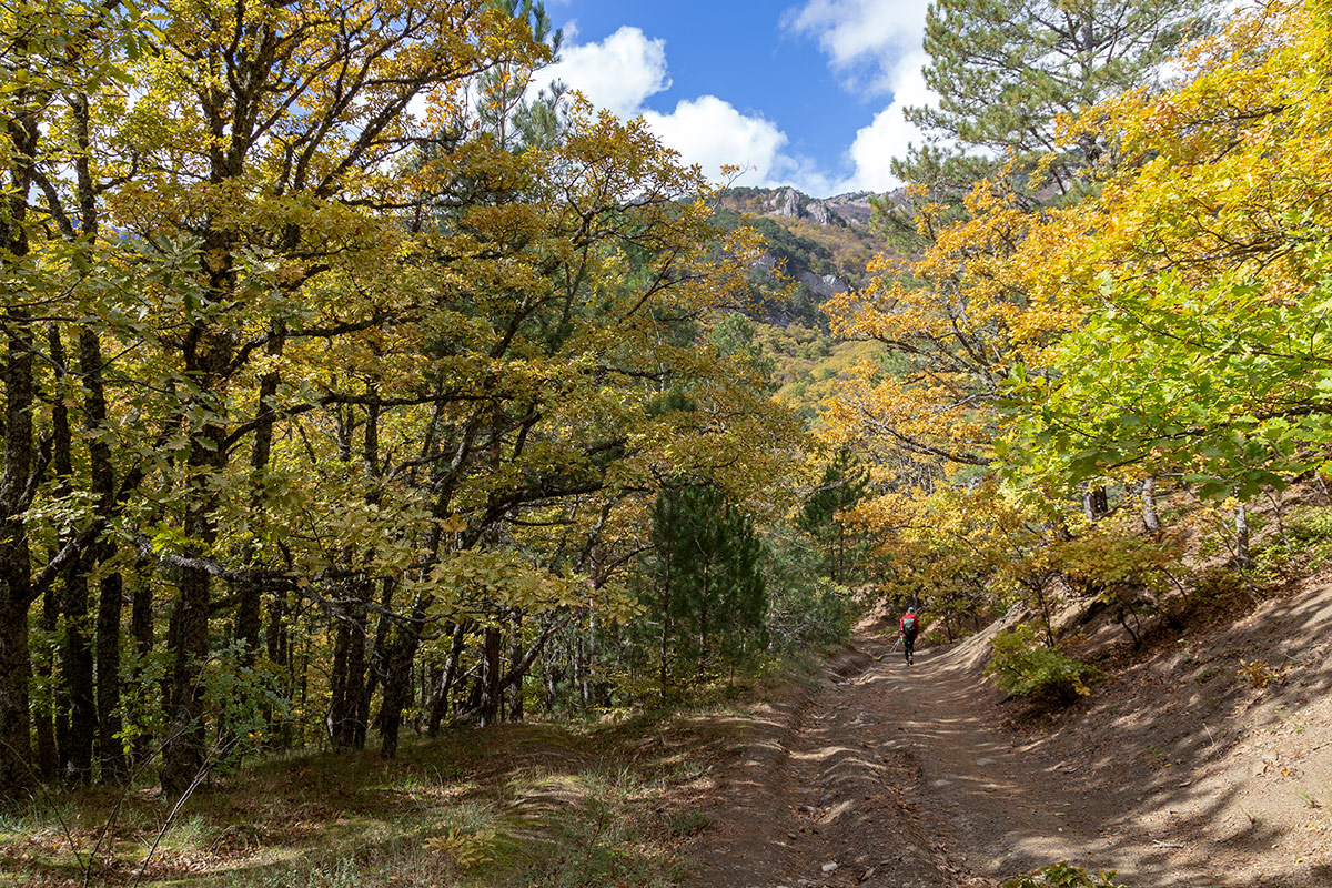 Урочище Парагильмен, image of landscape/habitat.