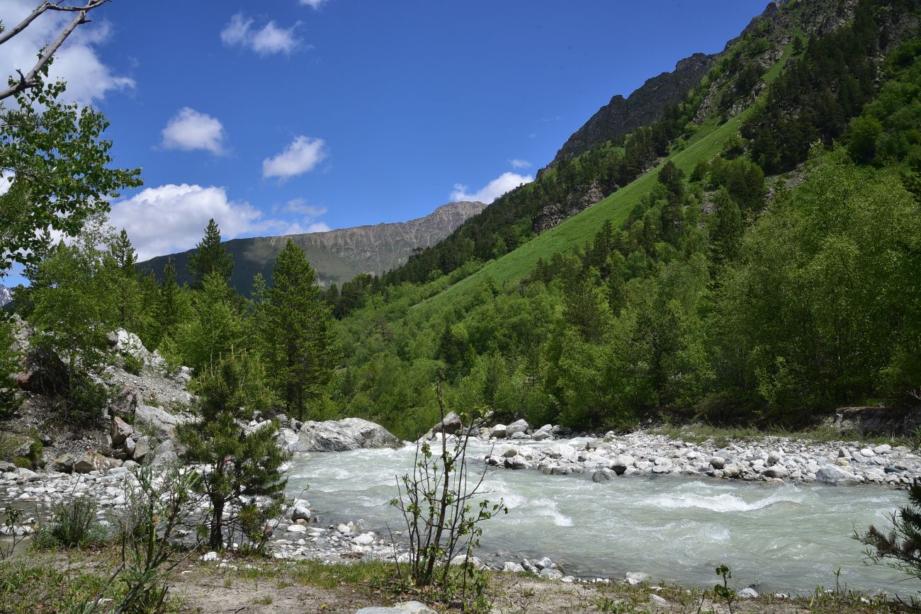 Улыбка Шхельды, image of landscape/habitat.
