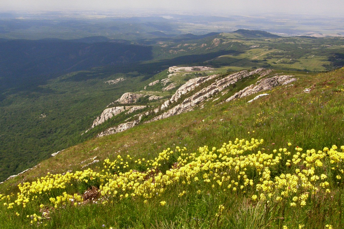 Чатырдаг, image of landscape/habitat.