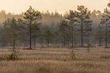 Landscape image