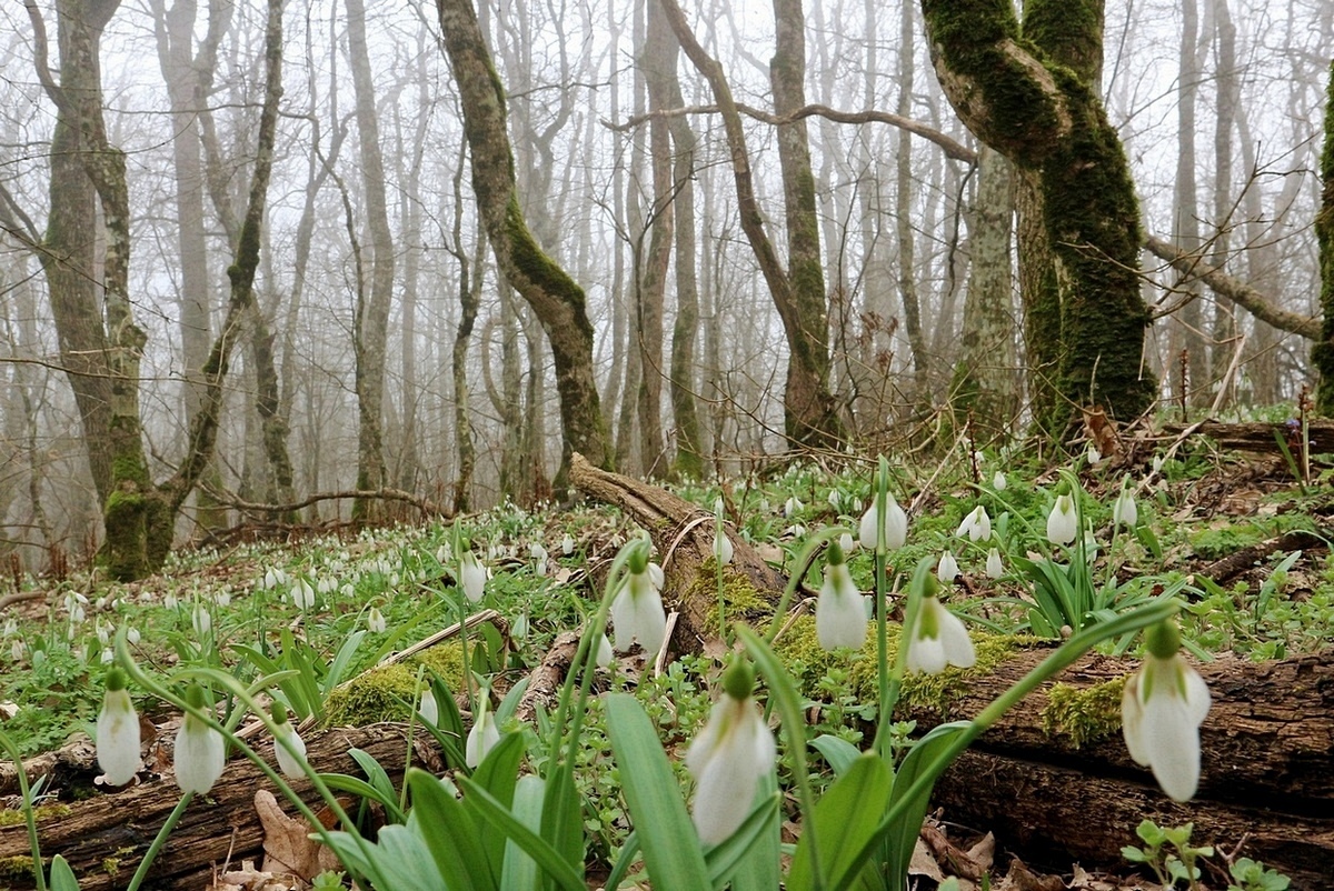 Глебовка, image of landscape/habitat.