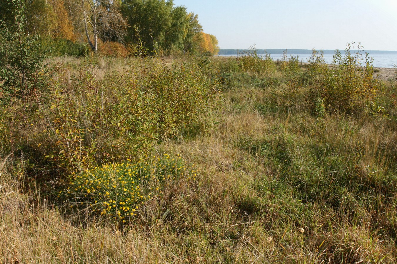 Медвежьегорск и окрестности, image of landscape/habitat.