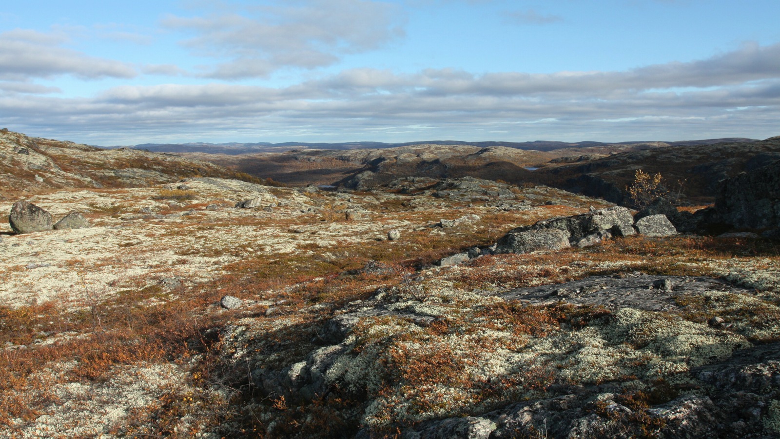 Высота 314.9, image of landscape/habitat.