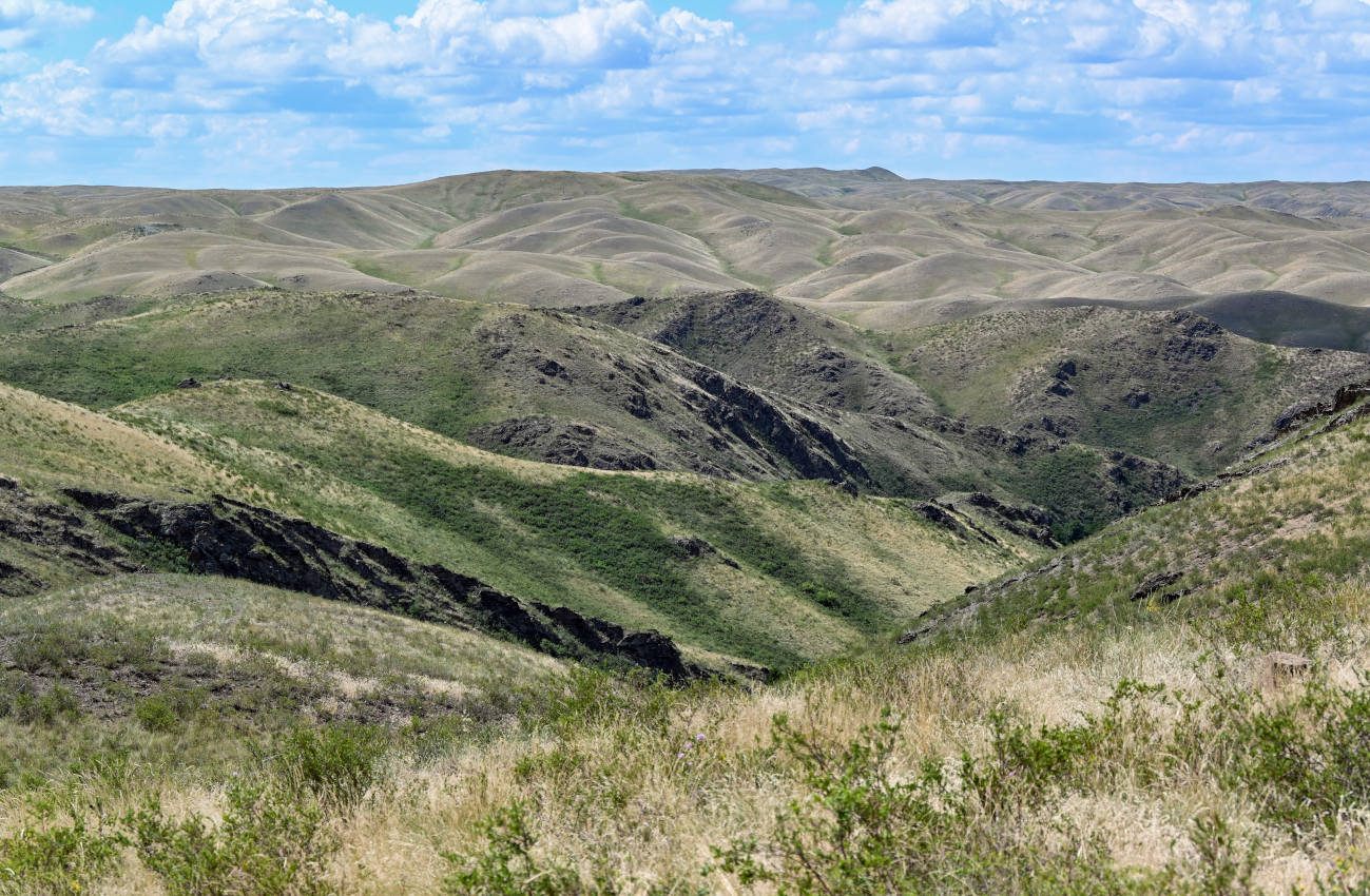 Губерлинские горы, image of landscape/habitat.