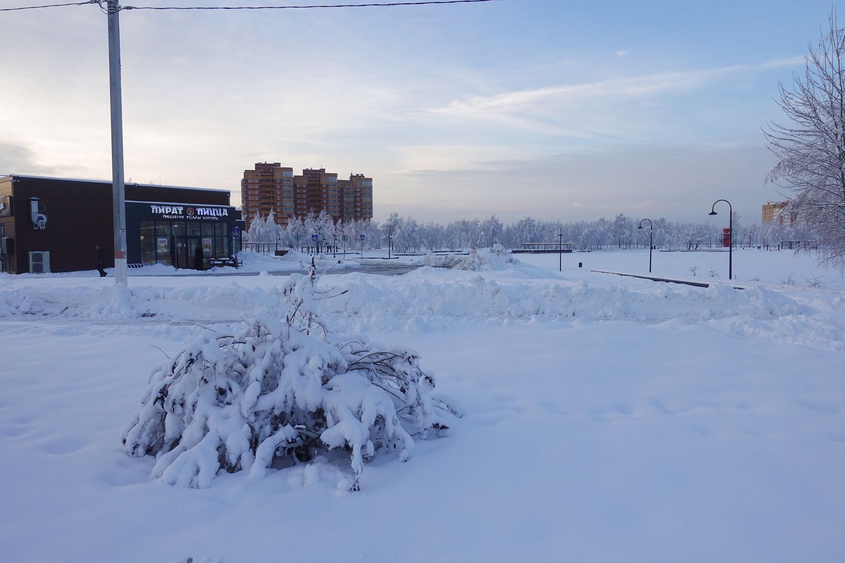 Электрогорск и его окрестности, изображение ландшафта.