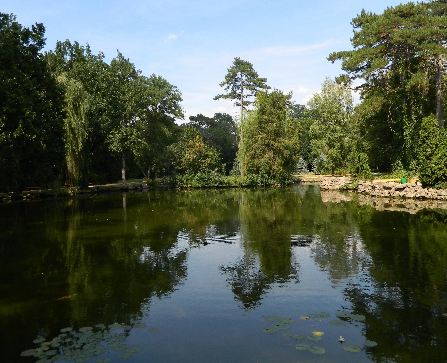 Дендропарк "Аскания-Нова", image of landscape/habitat.