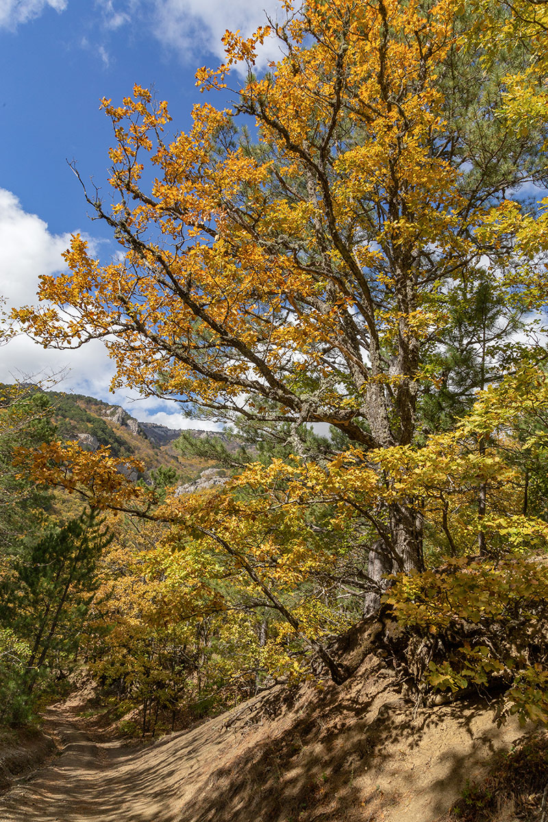 Урочище Парагильмен, image of landscape/habitat.