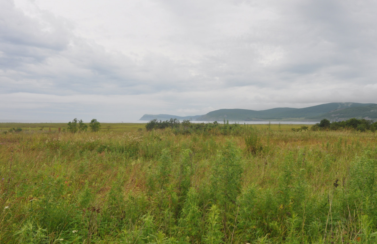 Устье реки Джигитовка, изображение ландшафта.