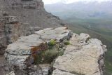 Image of landscape