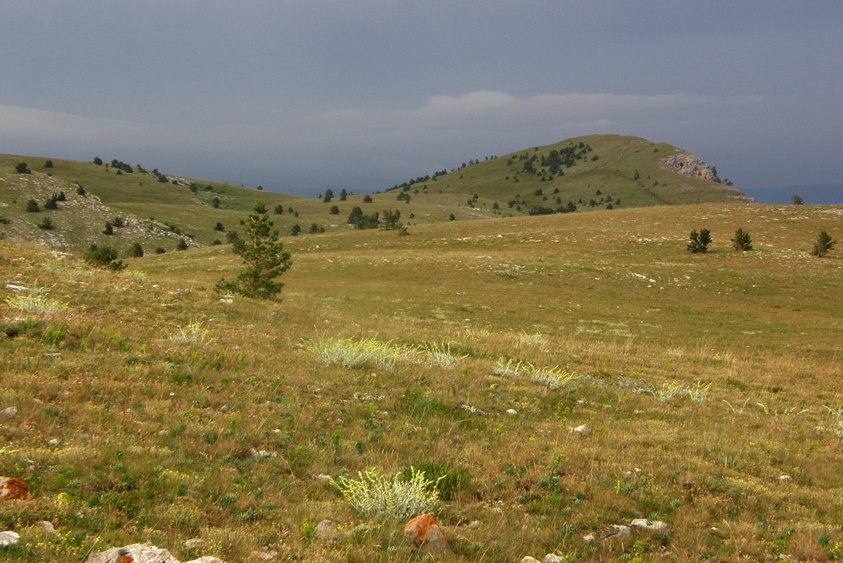Бабуган, image of landscape/habitat.