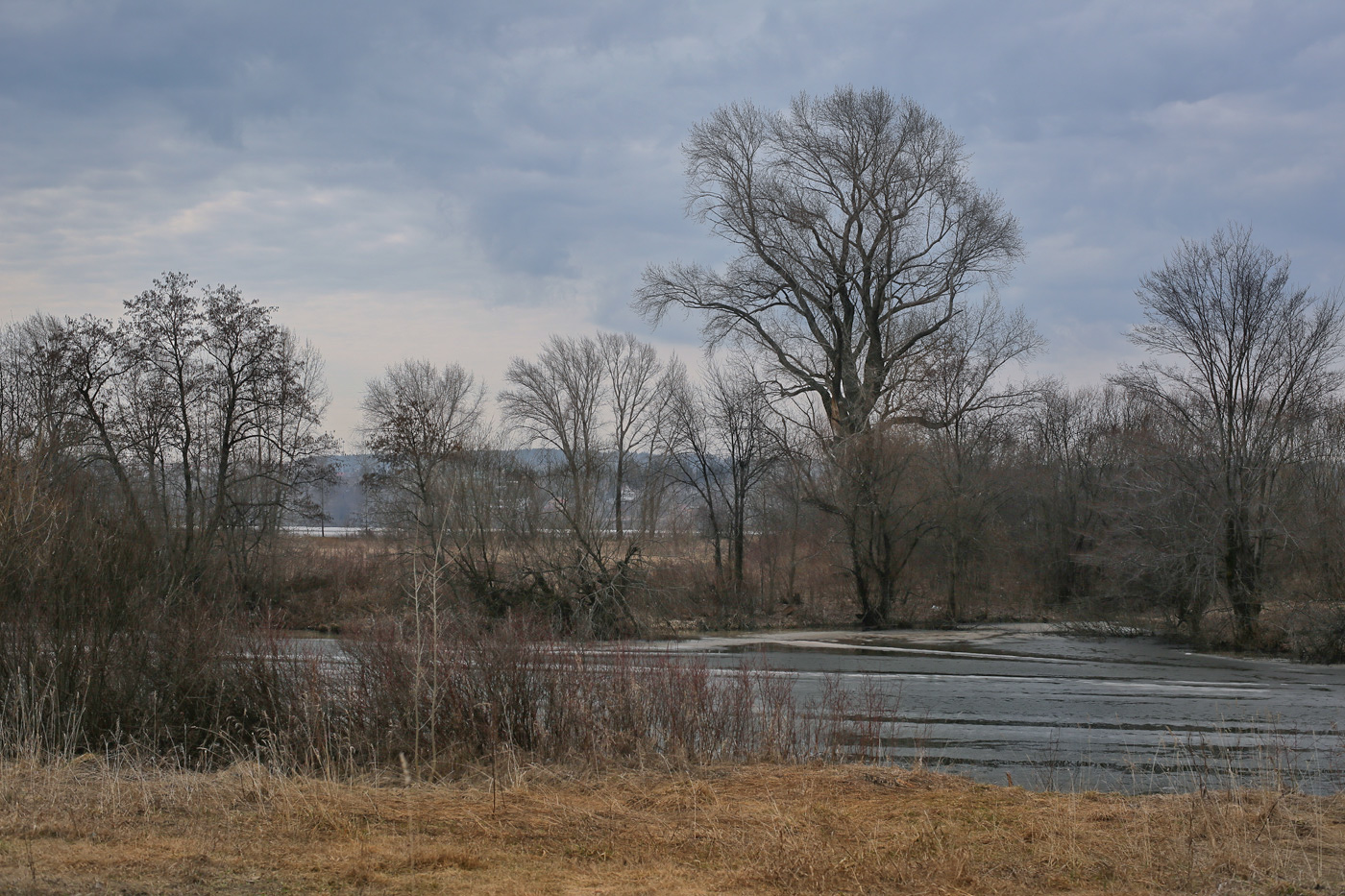 Закамск, image of landscape/habitat.