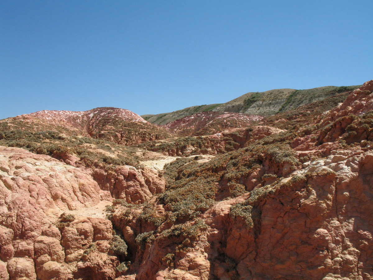 Кеин-Кериш, image of landscape/habitat.