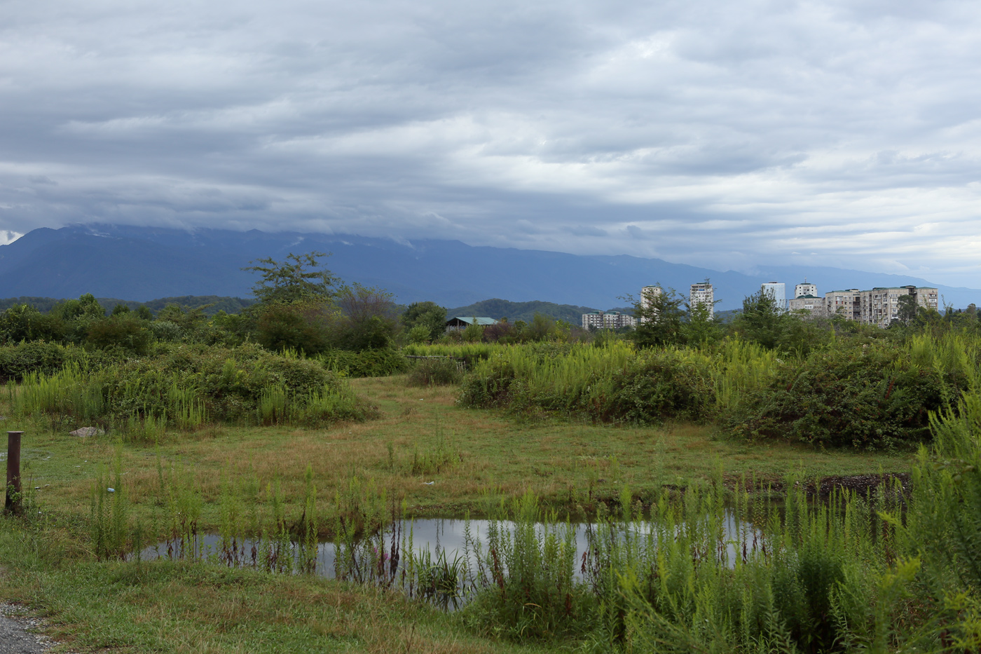 Пицунда, image of landscape/habitat.