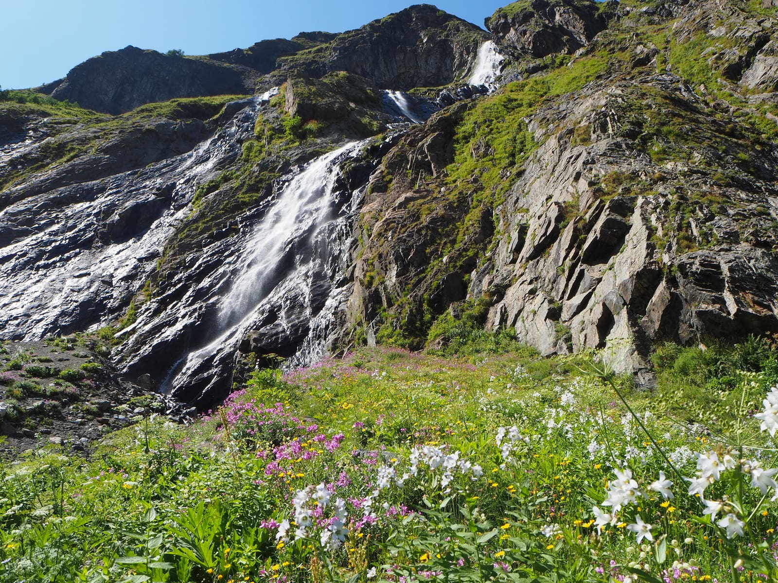 Аманауз, image of landscape/habitat.