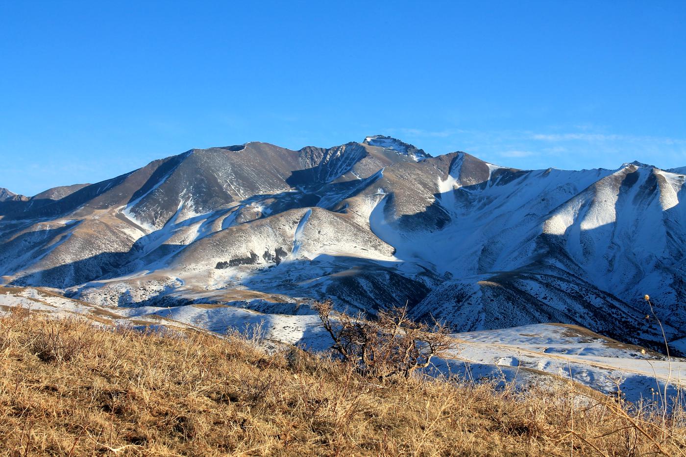 Окрестности с. Жабаглы, image of landscape/habitat.