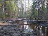 Image of landscape