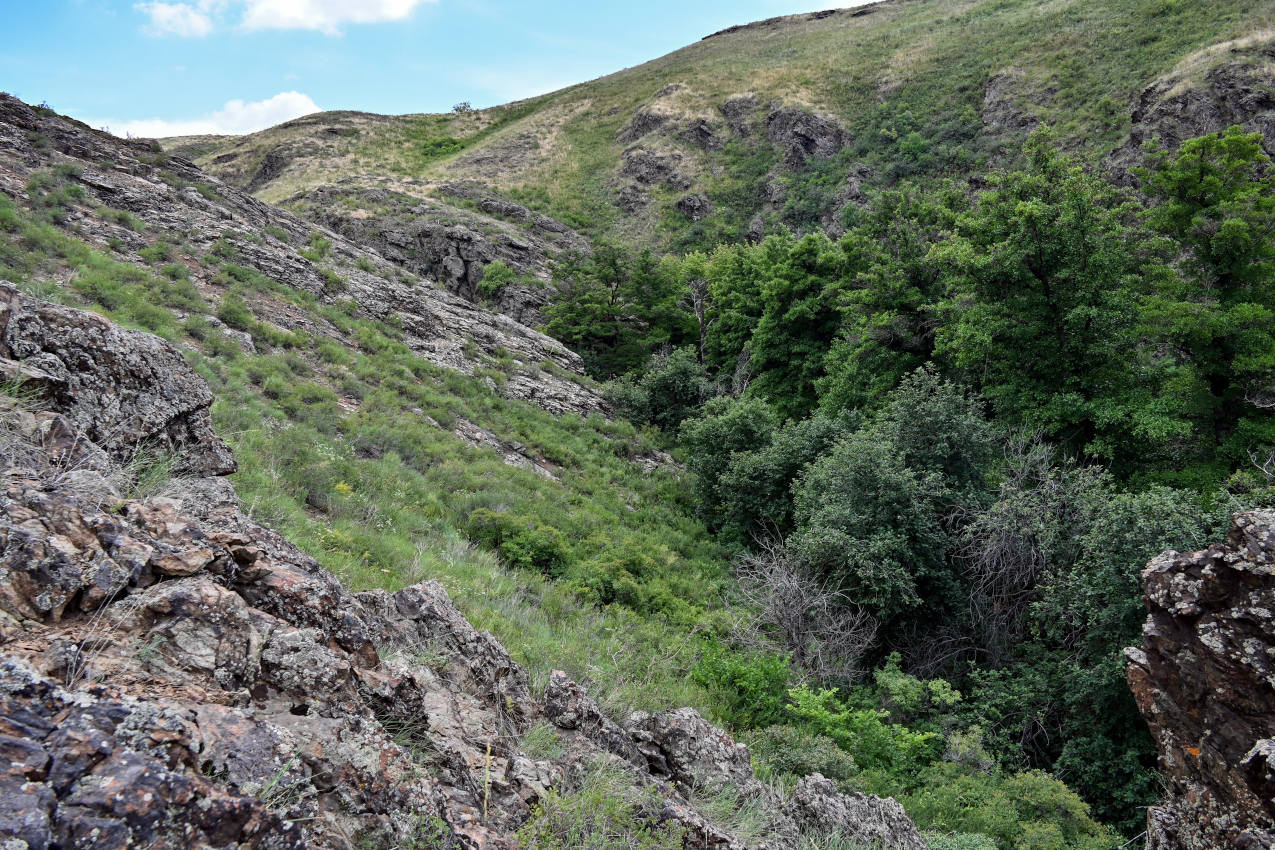 Губерлинские горы, image of landscape/habitat.