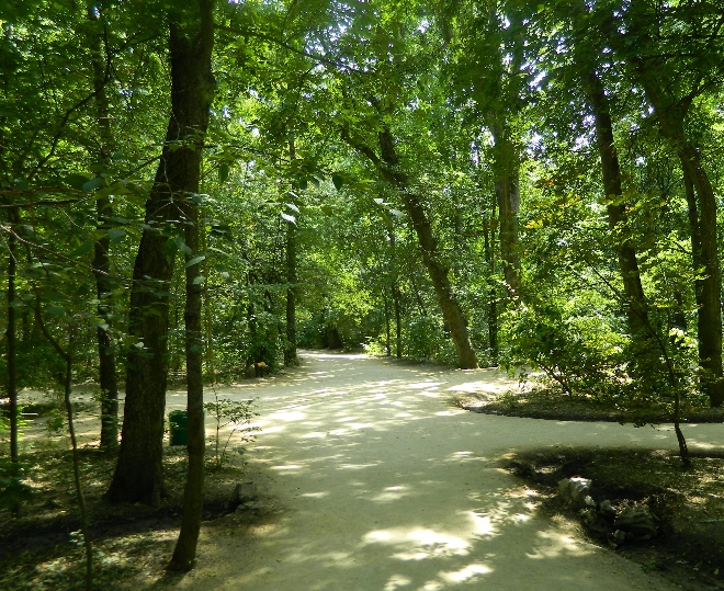 Дендропарк "Аскания-Нова", image of landscape/habitat.