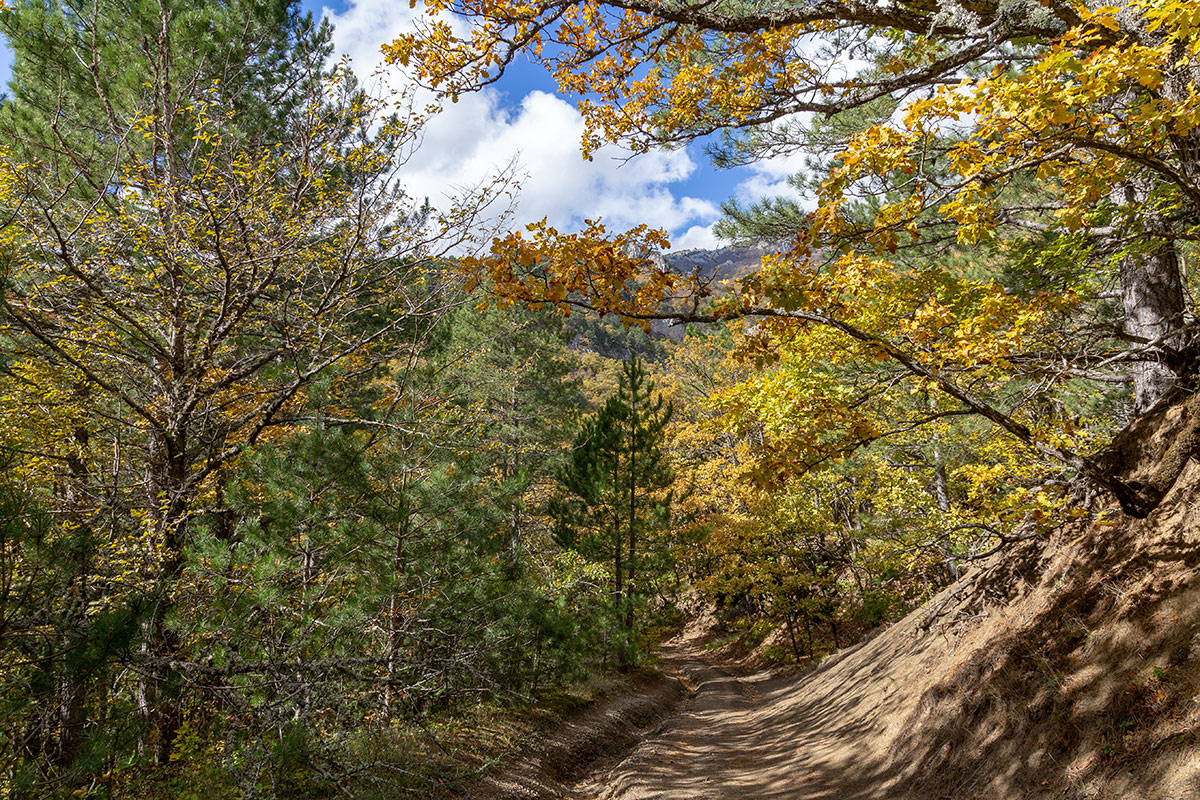 Урочище Парагильмен, image of landscape/habitat.