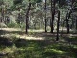 Image of landscape
